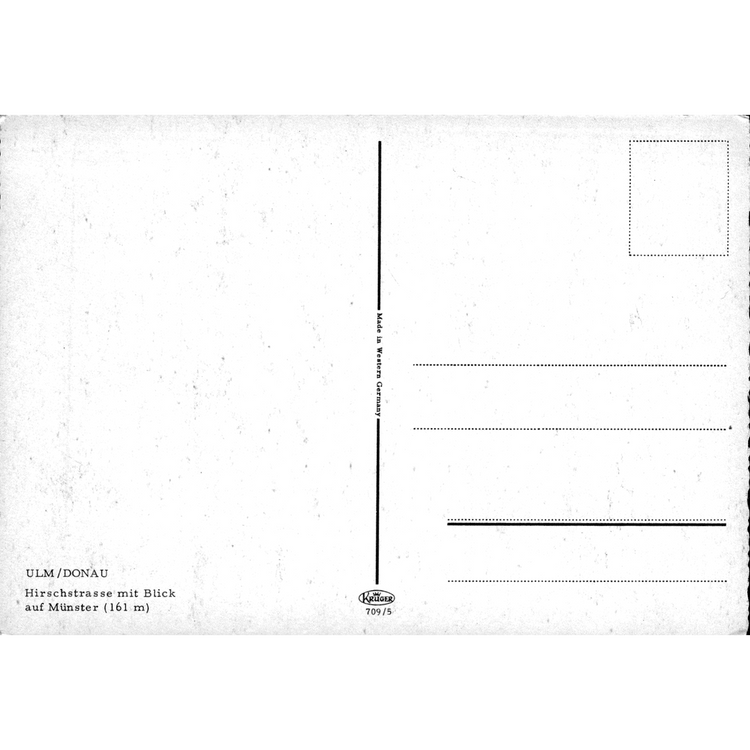 Skeletim Postcard Series by Tim Armstrong 