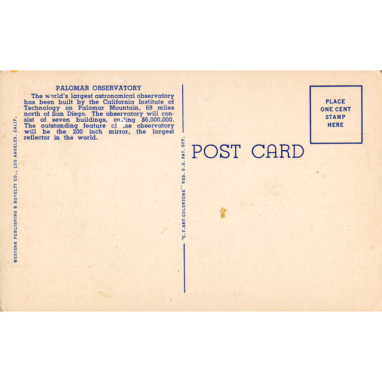 Skeletim Postcard Series by Tim Armstrong 