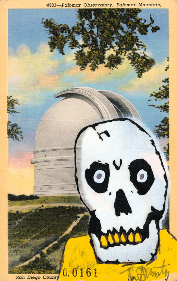 Skeletim Postcard Series by Tim Armstrong 