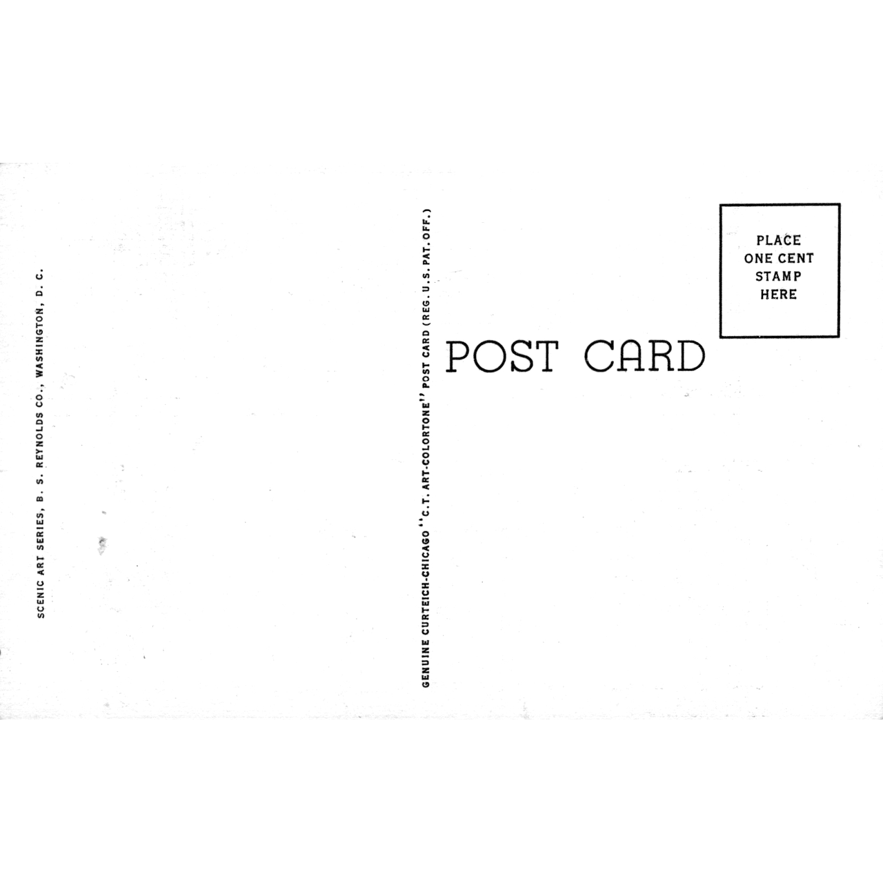 Skeletim Postcard Series by Tim Armstrong 