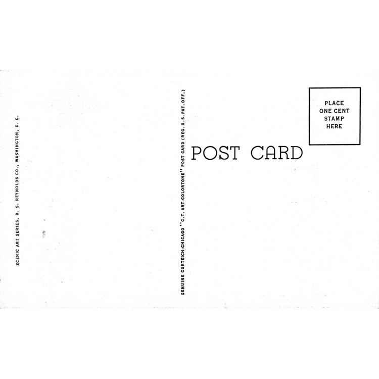 Skeletim Postcard Series by Tim Armstrong 