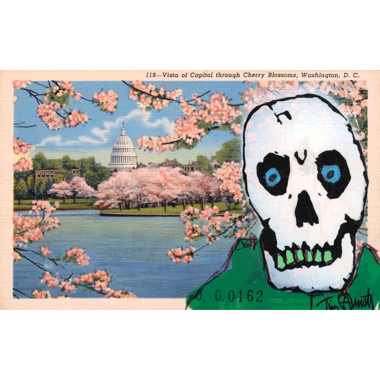 Skeletim Postcard Series by Tim Armstrong 