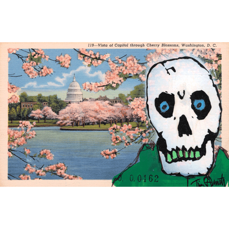 Skeletim Postcard Series by Tim Armstrong 