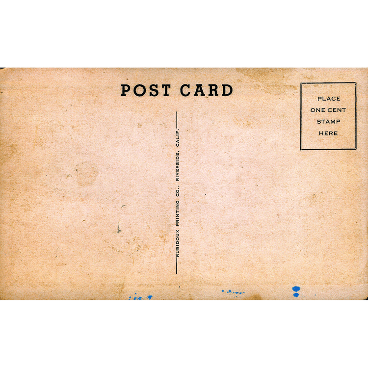 Skeletim Postcard Series by Tim Armstrong 