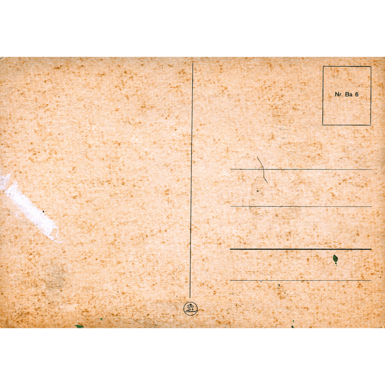 Skeletim Postcard Series by Tim Armstrong 