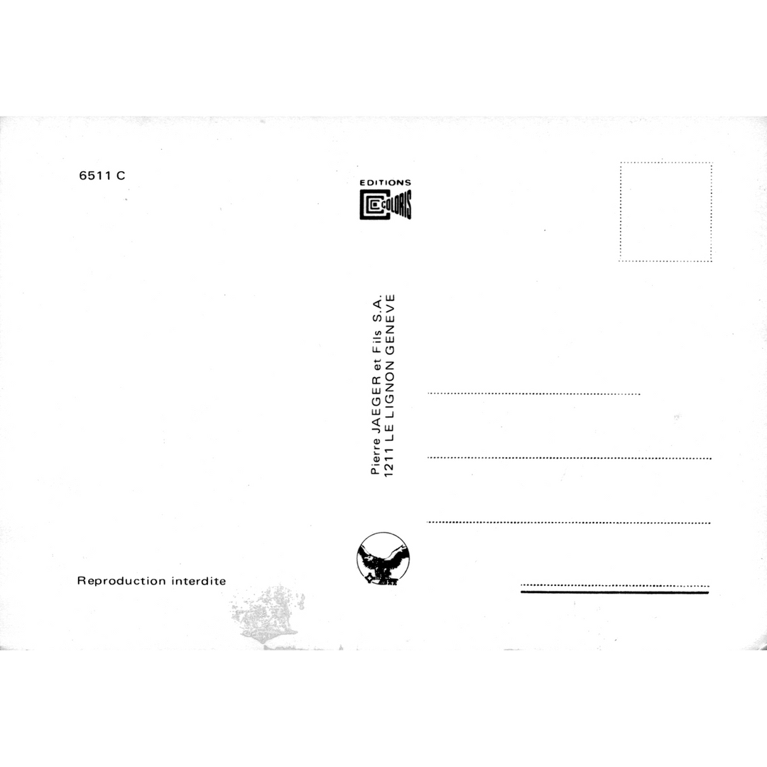 Skeletim Postcard Series by Tim Armstrong 