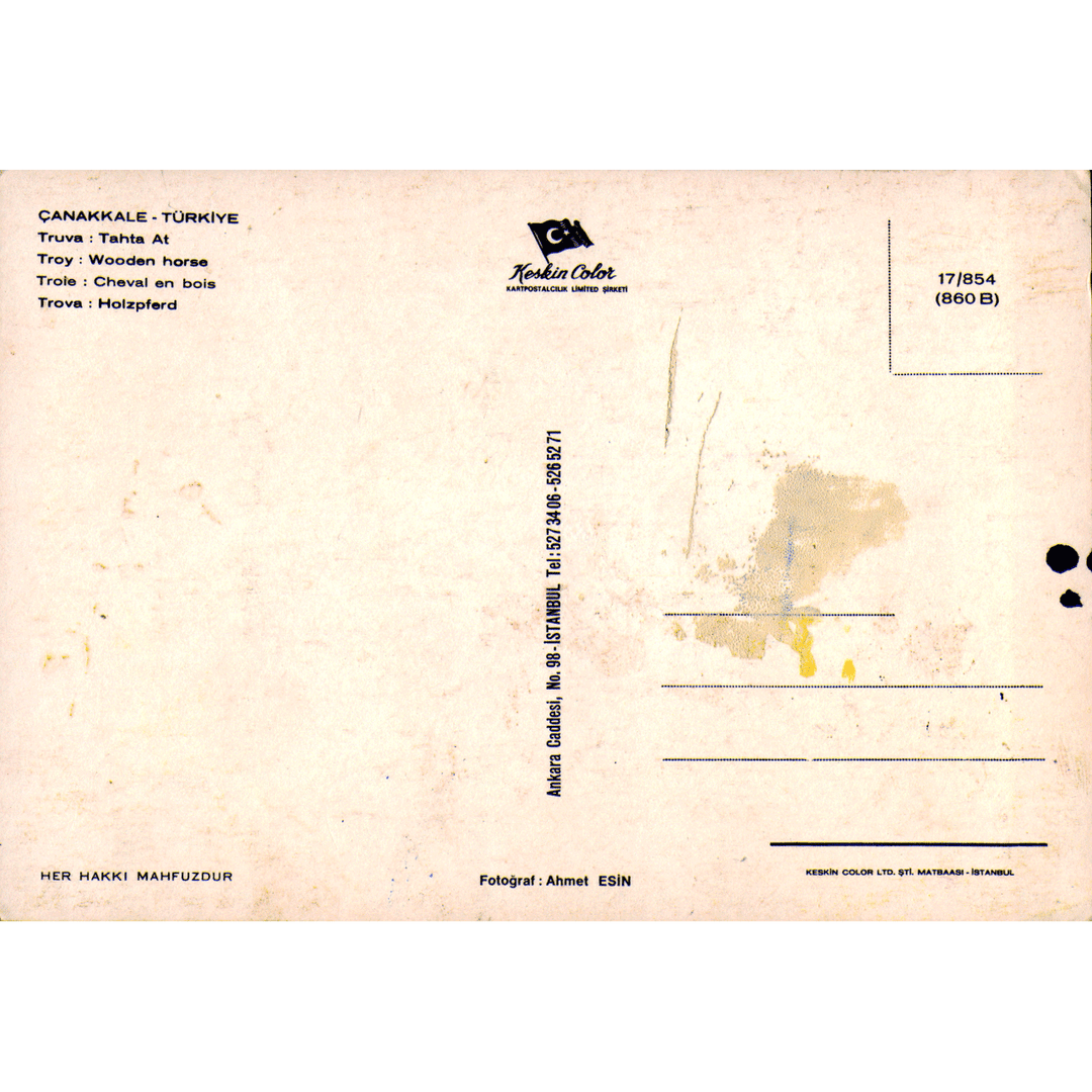 Skeletim Postcard Series by Tim Armstrong 