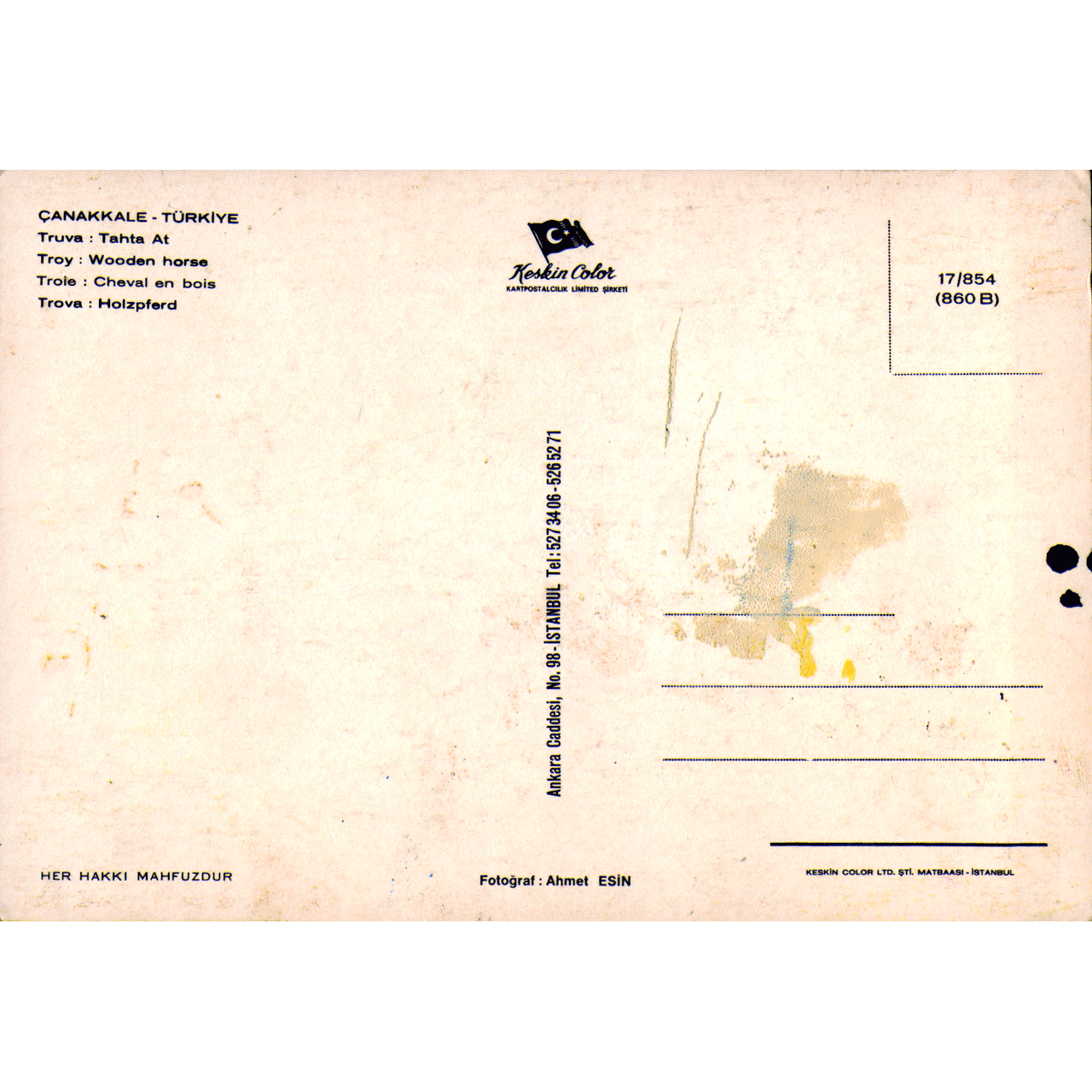 Skeletim Postcard Series by Tim Armstrong 