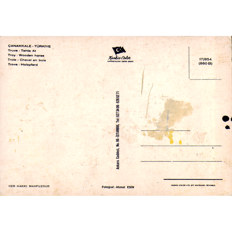 Skeletim Postcard Series by Tim Armstrong 