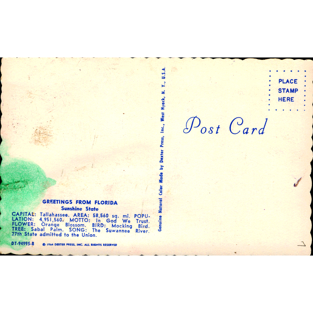 Skeletim Postcard Series by Tim Armstrong 