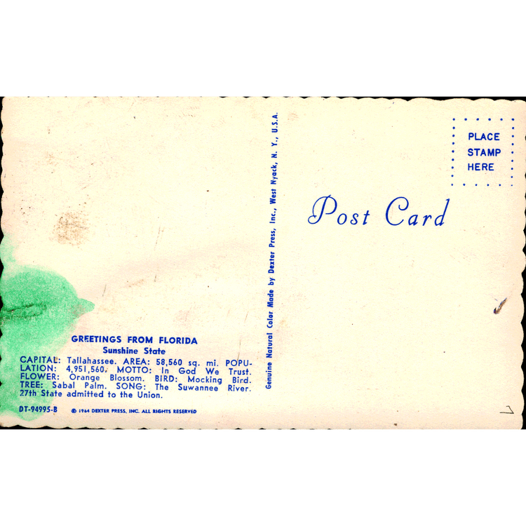 Skeletim Postcard Series by Tim Armstrong 