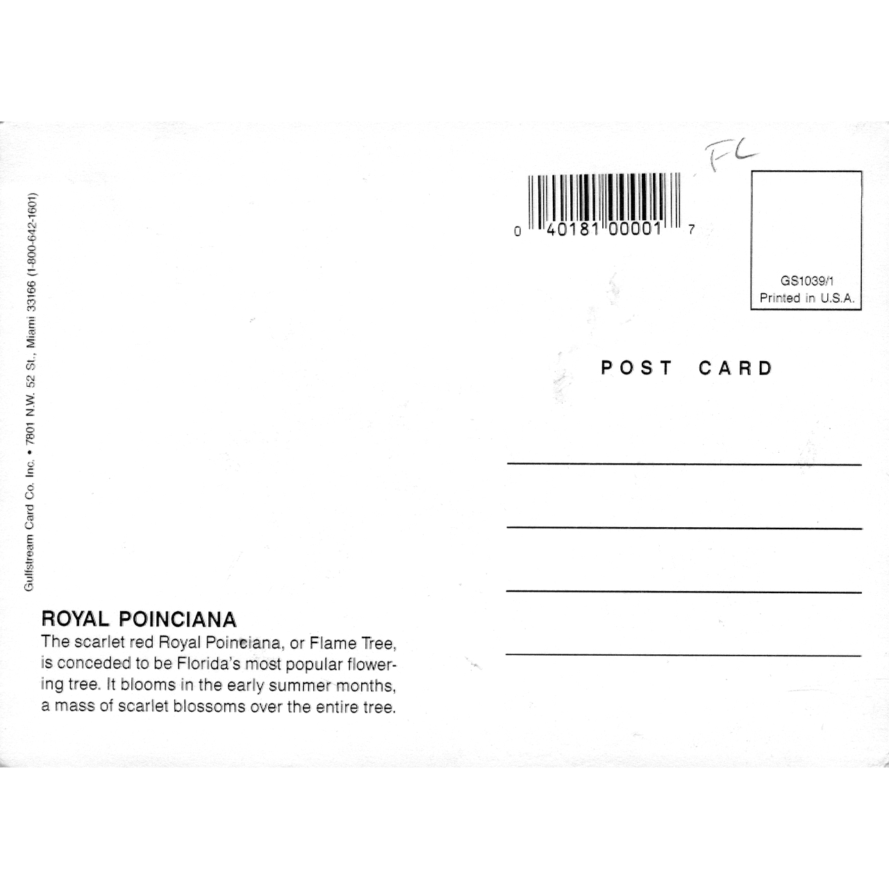 Skeletim Postcard Series by Tim Armstrong 