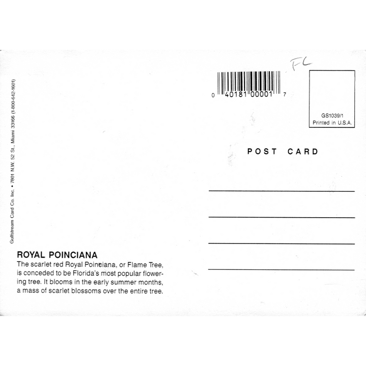 Skeletim Postcard Series by Tim Armstrong 