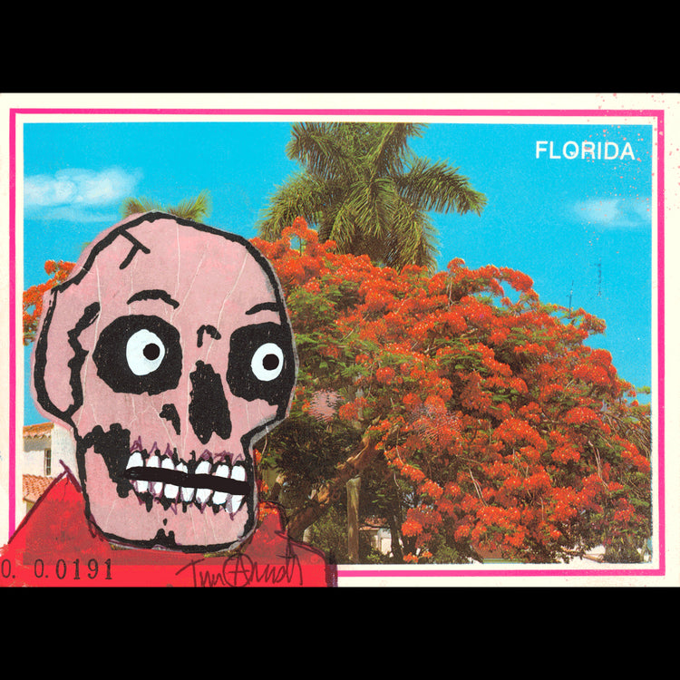 Skeletim Postcard Series by Tim Armstrong 