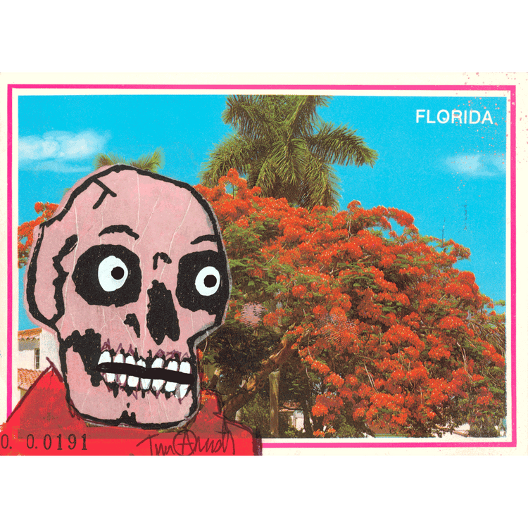 Skeletim Postcard Series by Tim Armstrong 