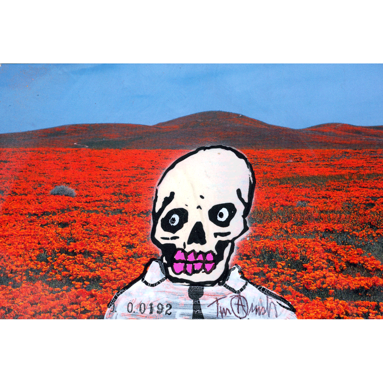 Skeletim Postcard Series by Tim Armstrong 