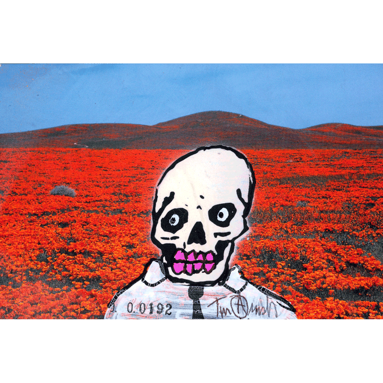 Skeletim Postcard Series by Tim Armstrong 