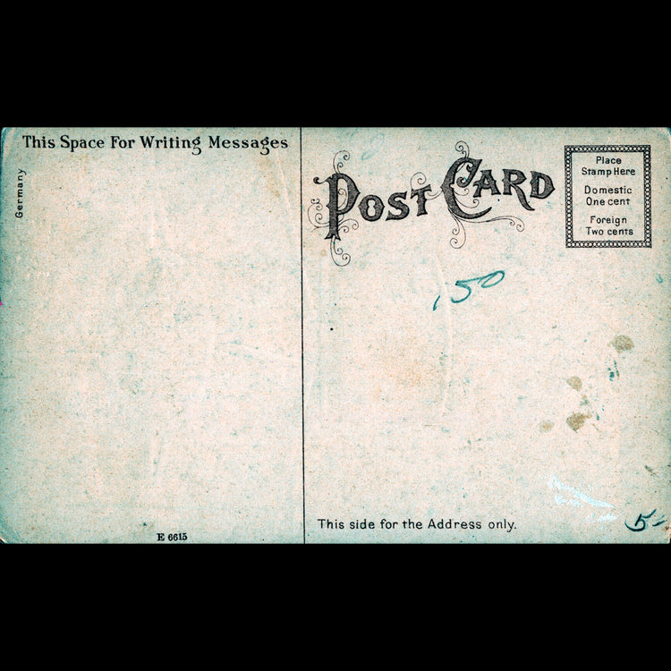 Skeletim Postcard Series by Tim Armstrong 