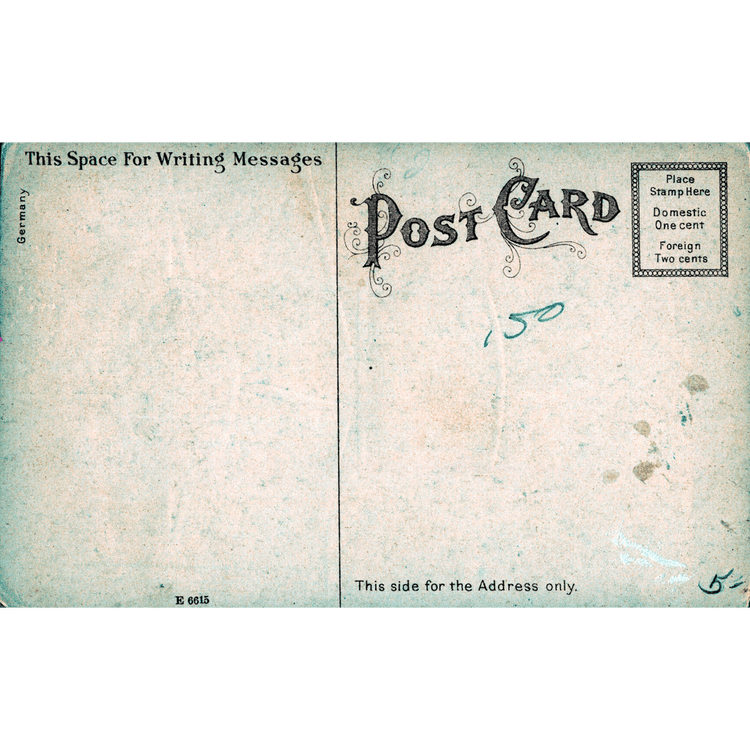 Skeletim Postcard Series by Tim Armstrong 