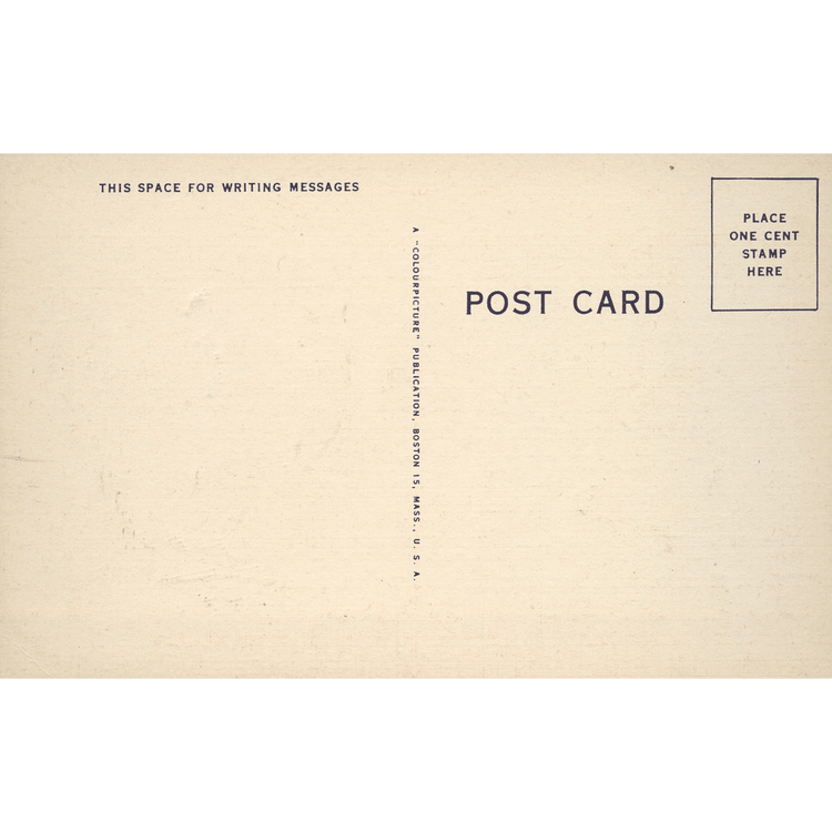 Skeletim Postcard Series by Tim Armstrong 