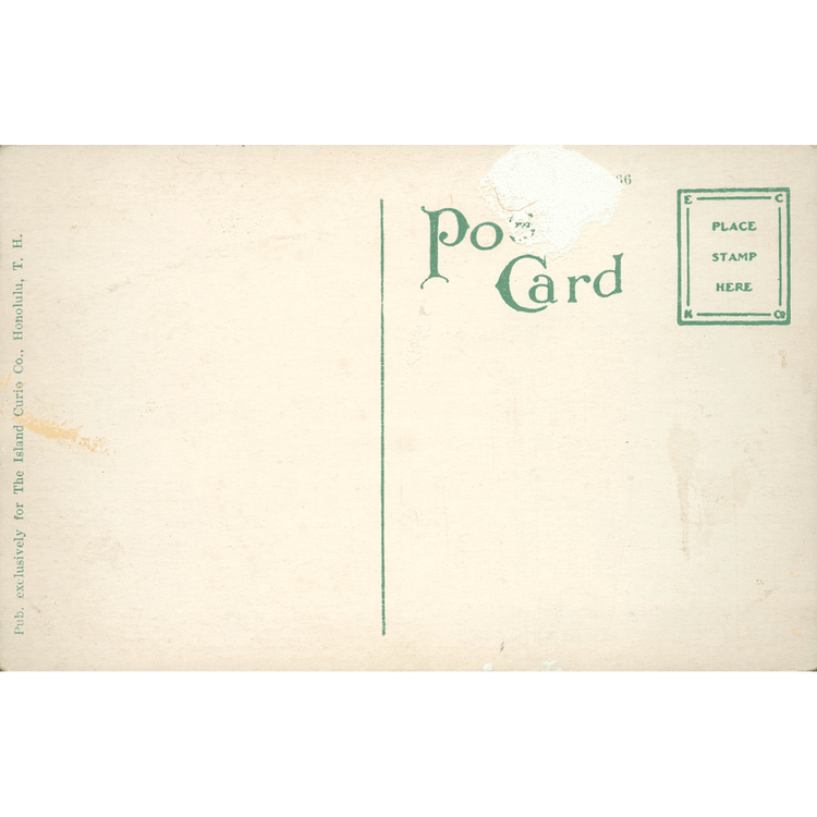 Skeletim Postcard Series by Tim Armstrong 