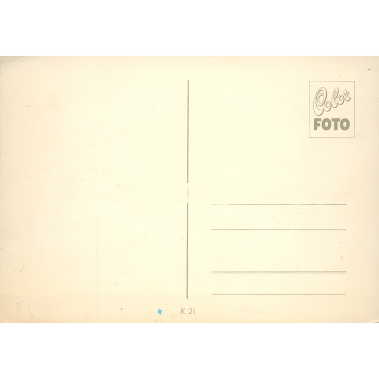 Skeletim Postcard Series by Tim Armstrong 