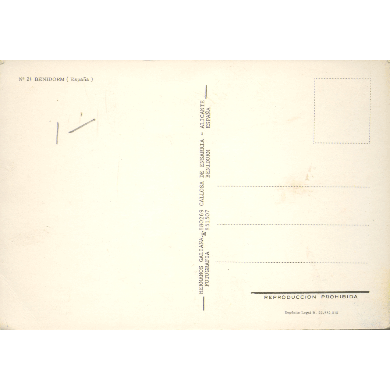 Skeletim Postcard Series by Tim Armstrong 