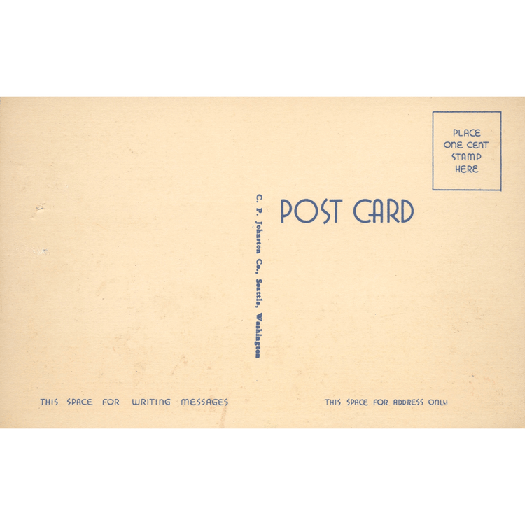 Skeletim Postcard Series by Tim Armstrong 