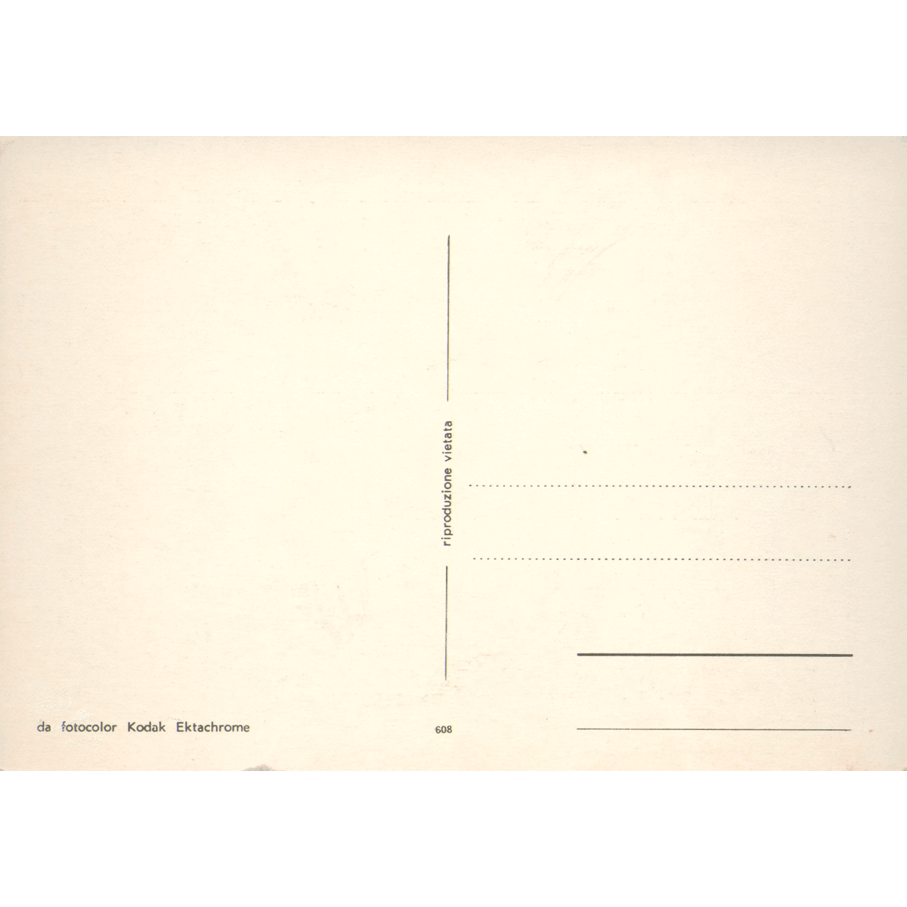 Skeletim Postcard Series by Tim Armstrong 