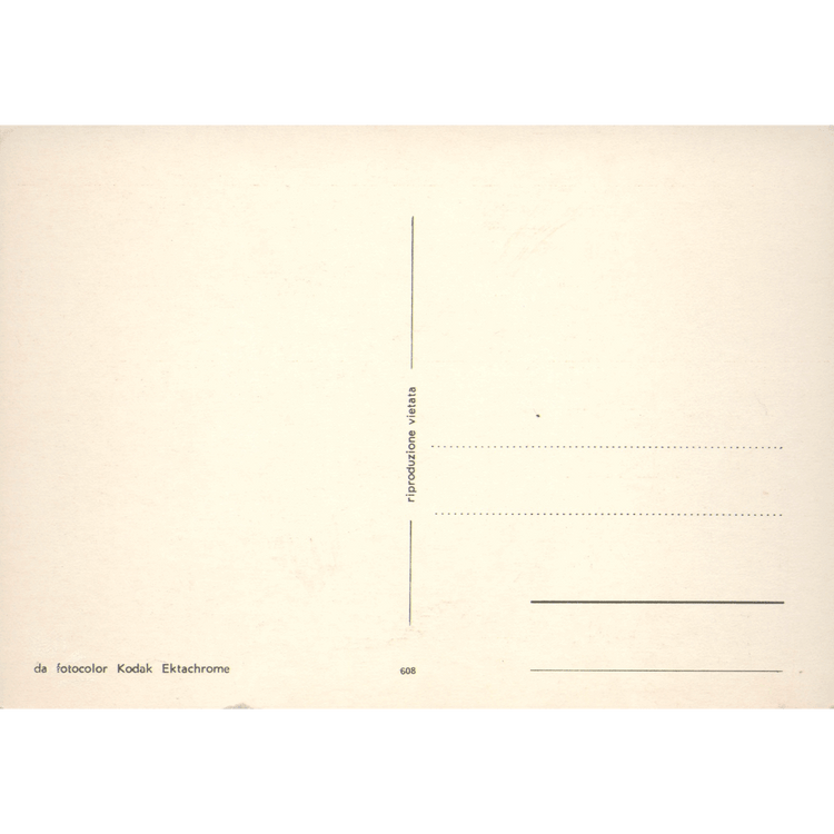 Skeletim Postcard Series by Tim Armstrong 