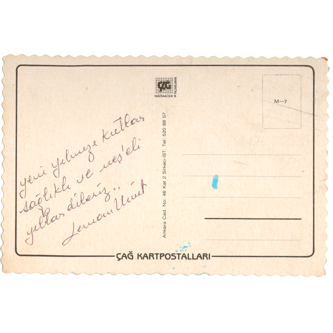 Skeletim Postcard Series by Tim Armstrong