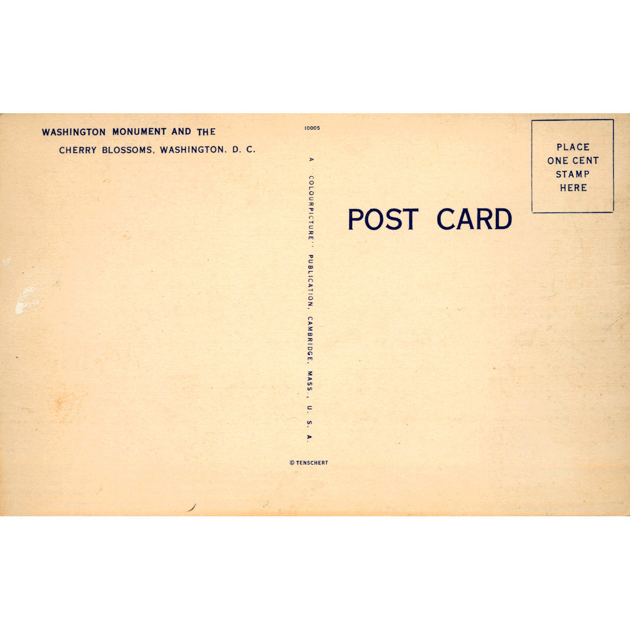 Reverse of WASHINGTON MONUMENT No. 0238 skeletim postcard by Tim Armstrong