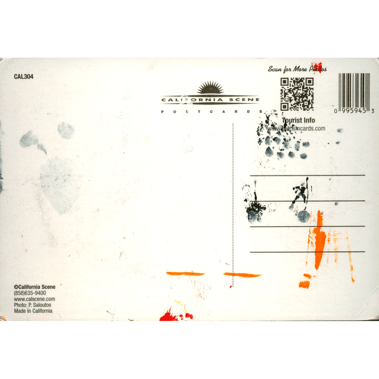 Skeletim Postcard Series by Tim Armstrong