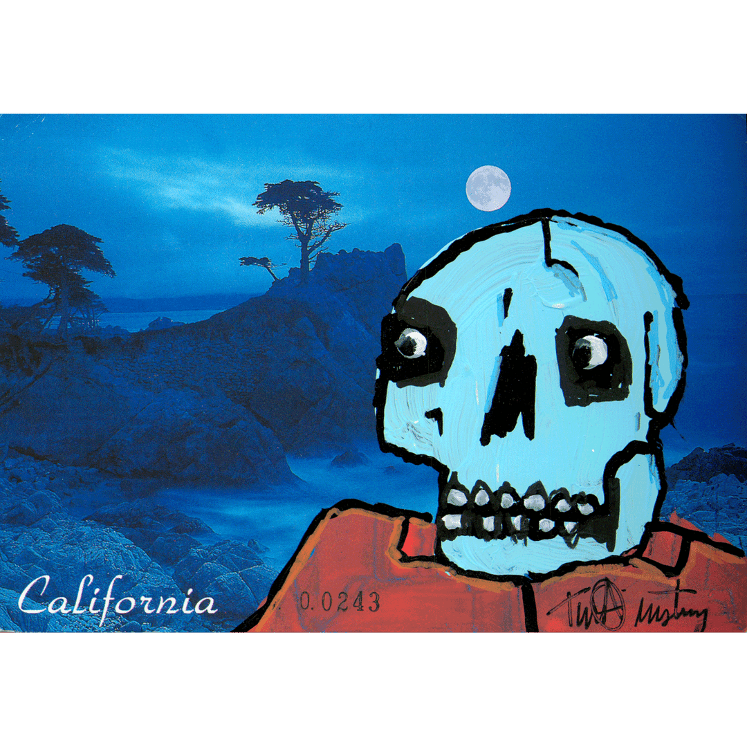 Skeletim Postcard Series by Tim Armstrong