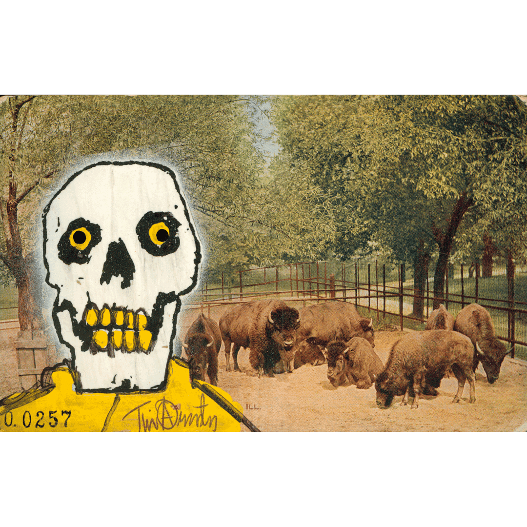 Skeletim Postcard Series by Tim Armstrong