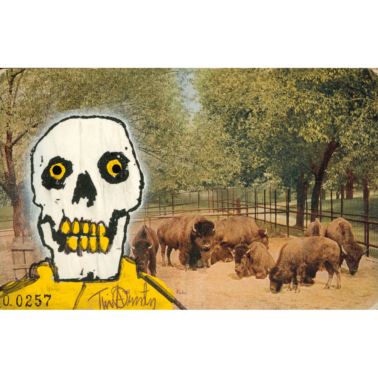 Skeletim Postcard Series by Tim Armstrong