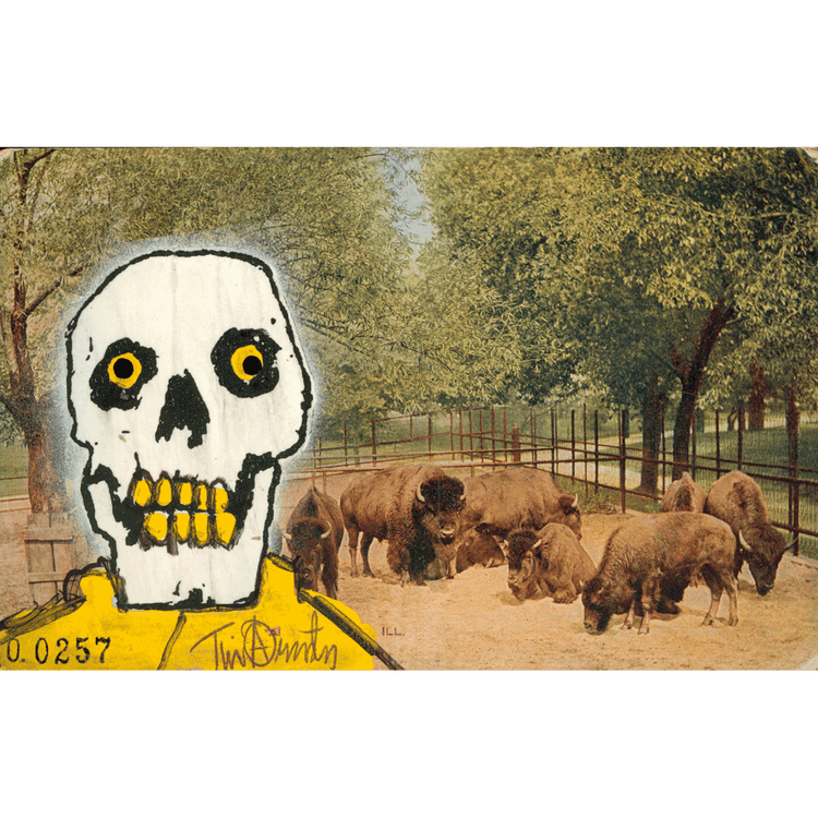 Skeletim Postcard Series by Tim Armstrong