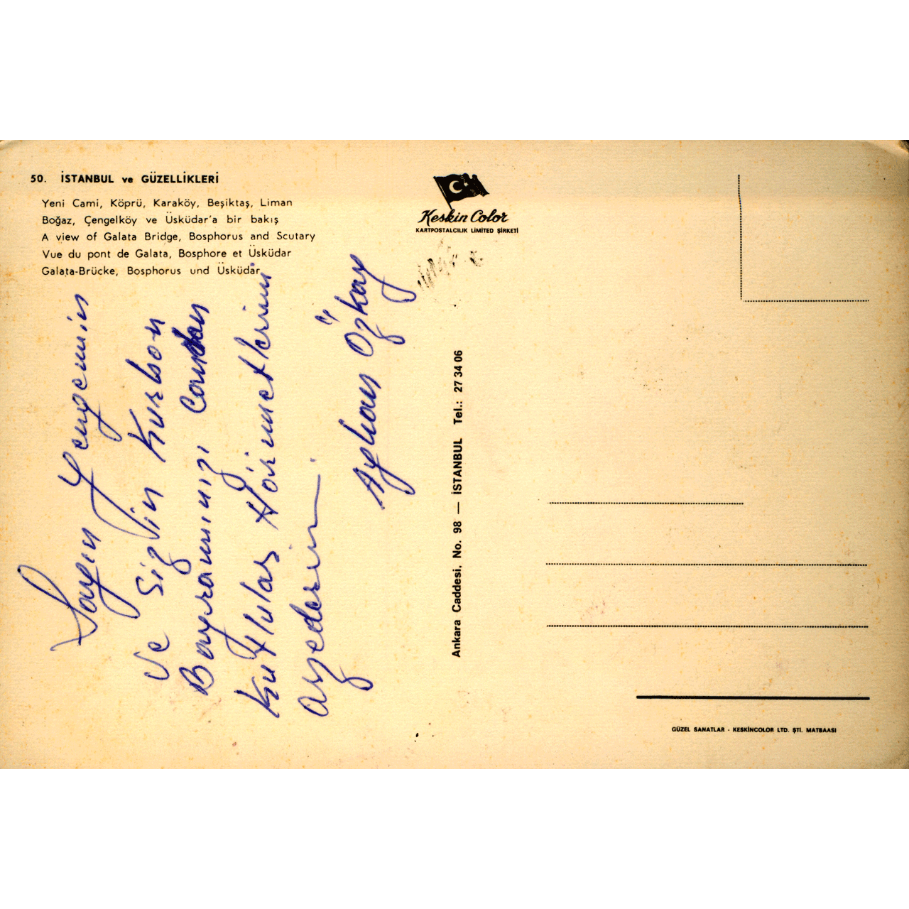 Reverse of ISTANBUL No. 0262 skeletim postcard by Tim Armstrong
