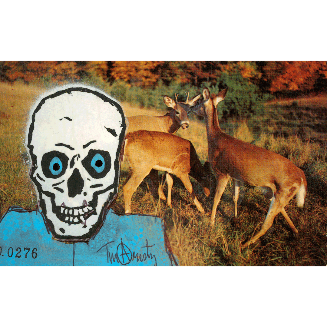 Skeletim Postcard Series by Tim Armstrong