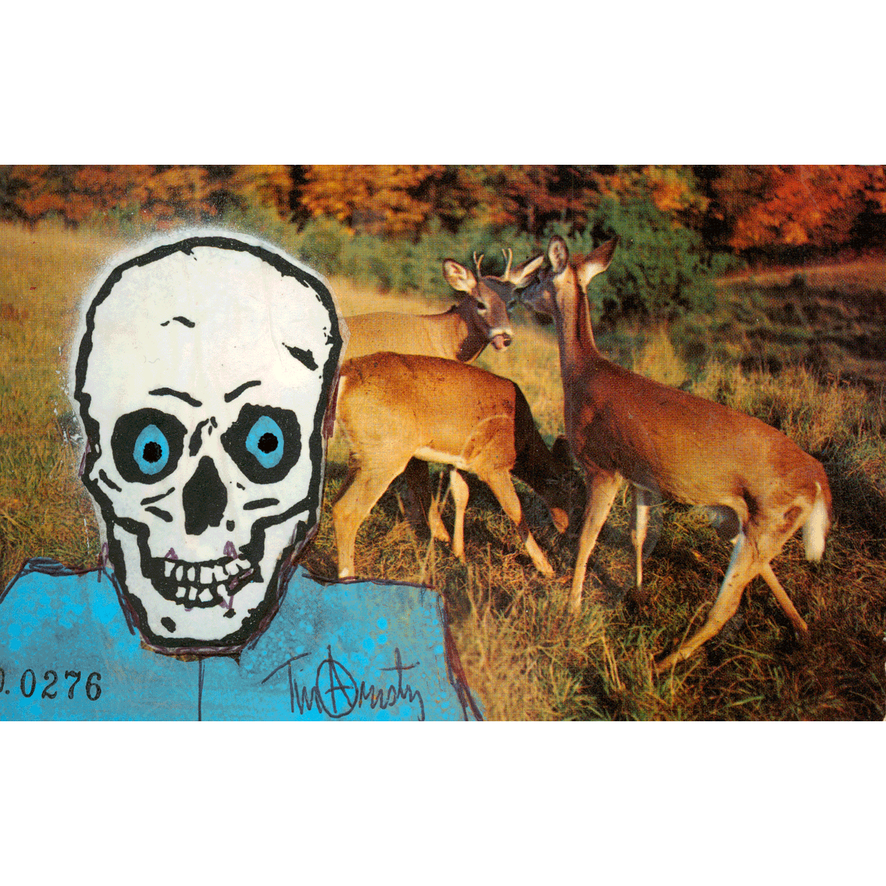 Skeletim Postcard Series by Tim Armstrong