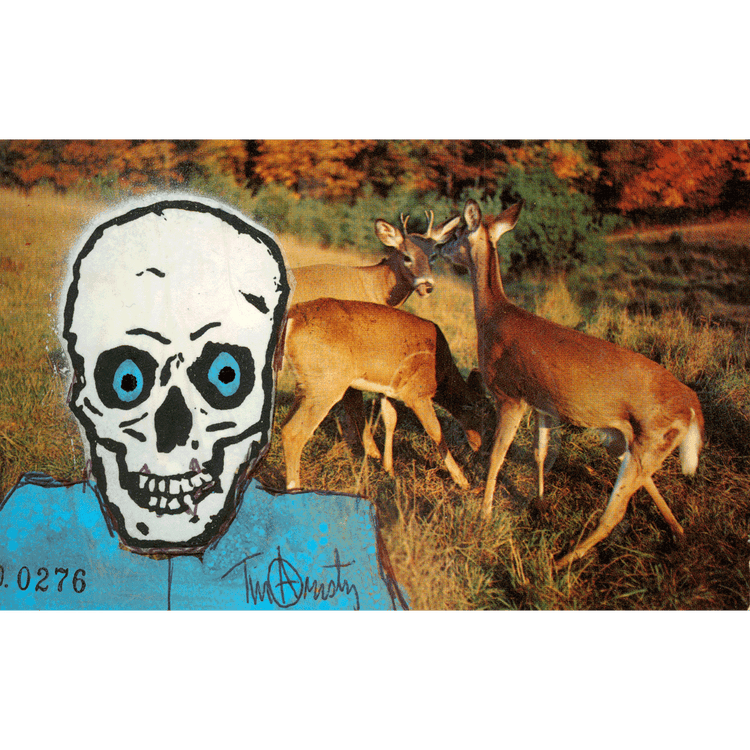 Skeletim Postcard Series by Tim Armstrong